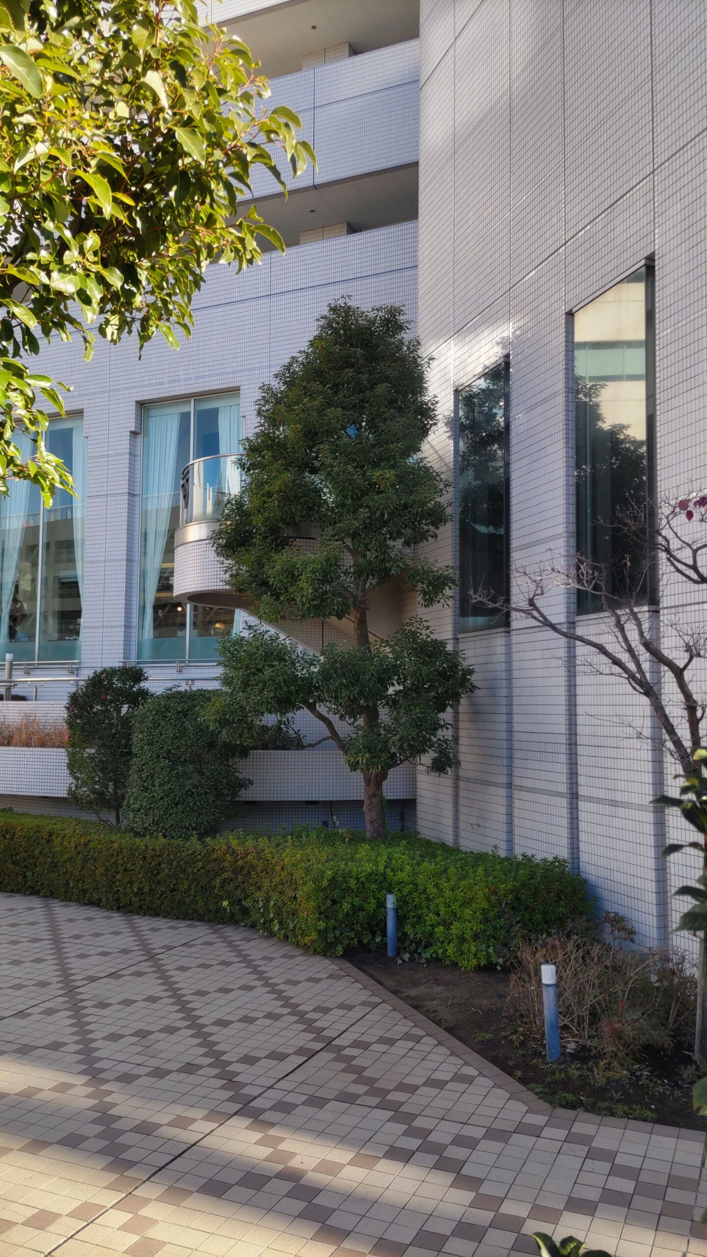 作業前　その２