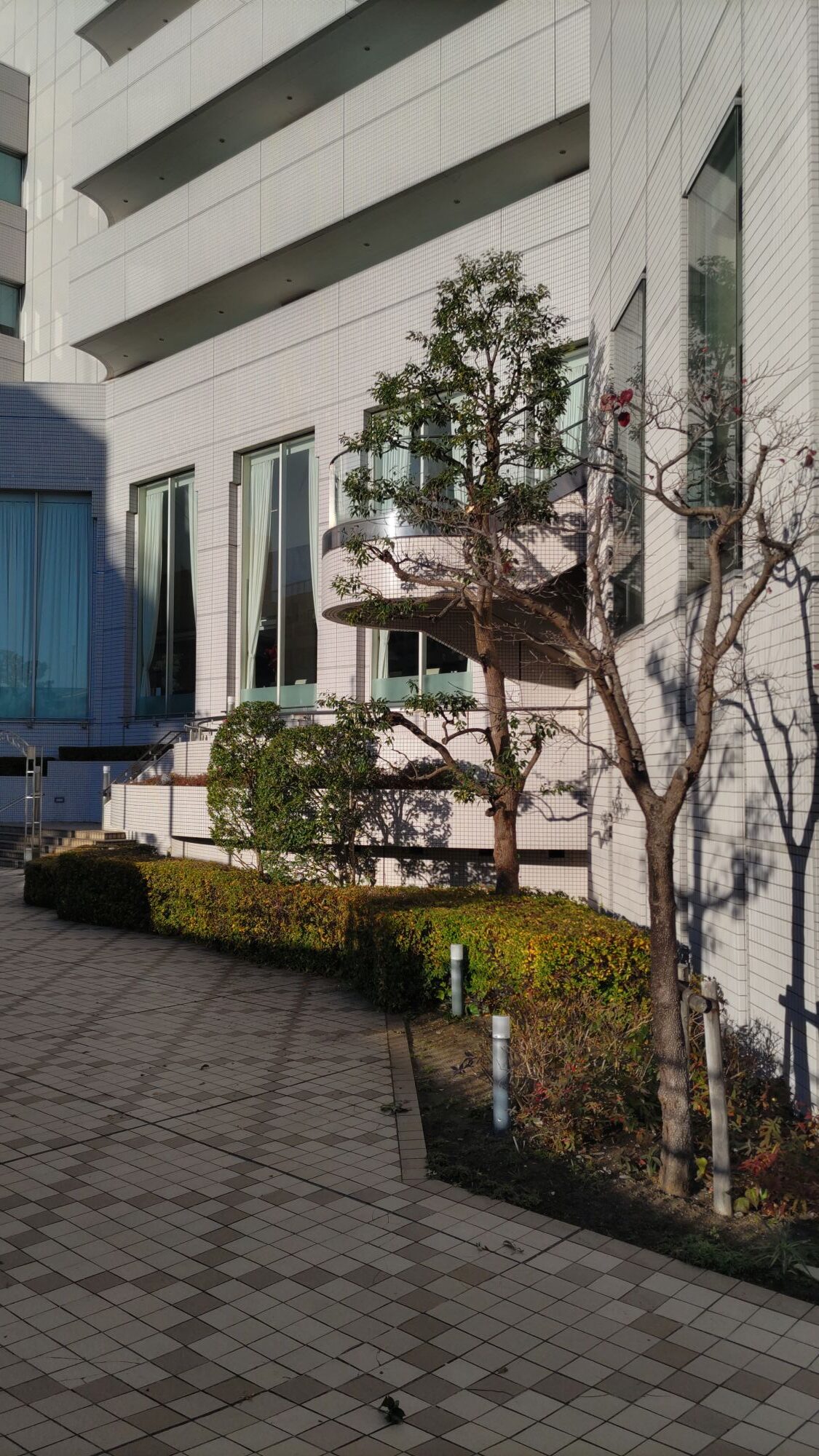 作業後　その２